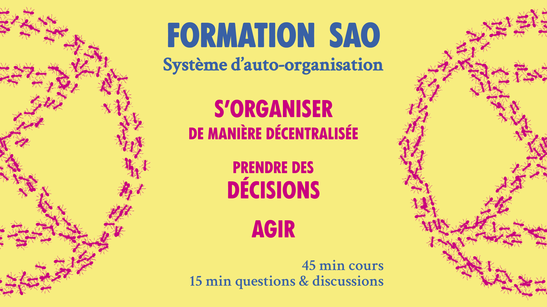 Formation SAO – Système d’auto-organisation
