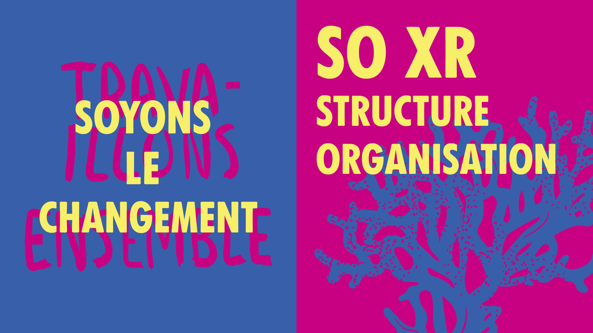Découvrez XR ! / Structure et Organisation